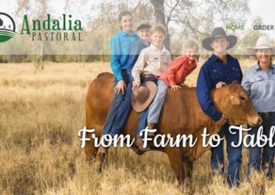 Andalia Pastoral Website